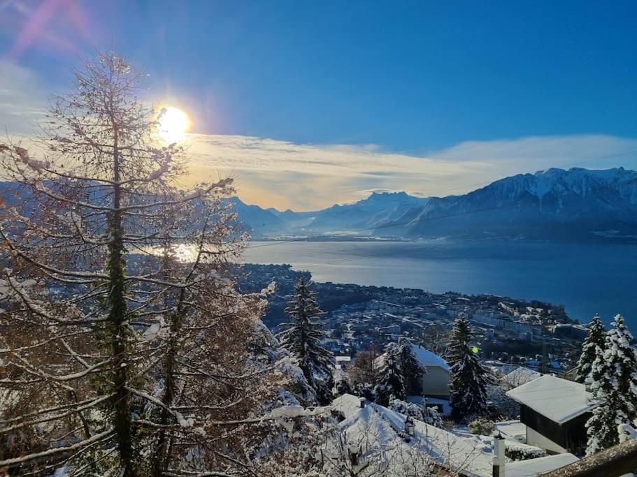 Le Toit De Chardonne - Entre Alpes Et Lac Leman Екстер'єр фото