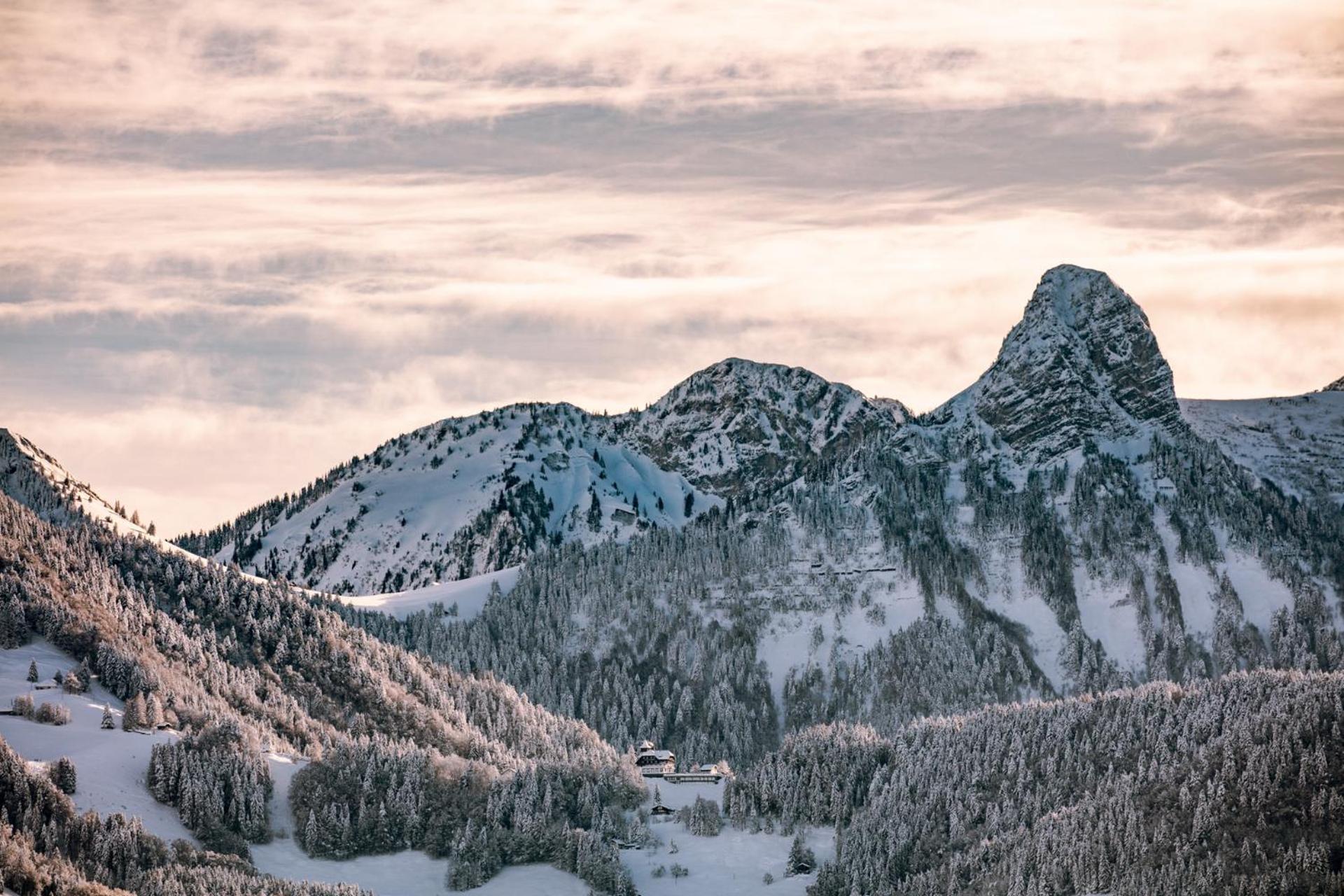 Le Toit De Chardonne - Entre Alpes Et Lac Leman Екстер'єр фото