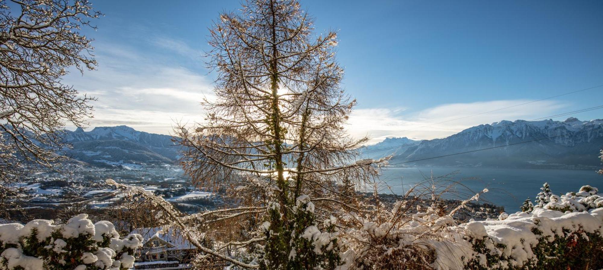 Le Toit De Chardonne - Entre Alpes Et Lac Leman Екстер'єр фото